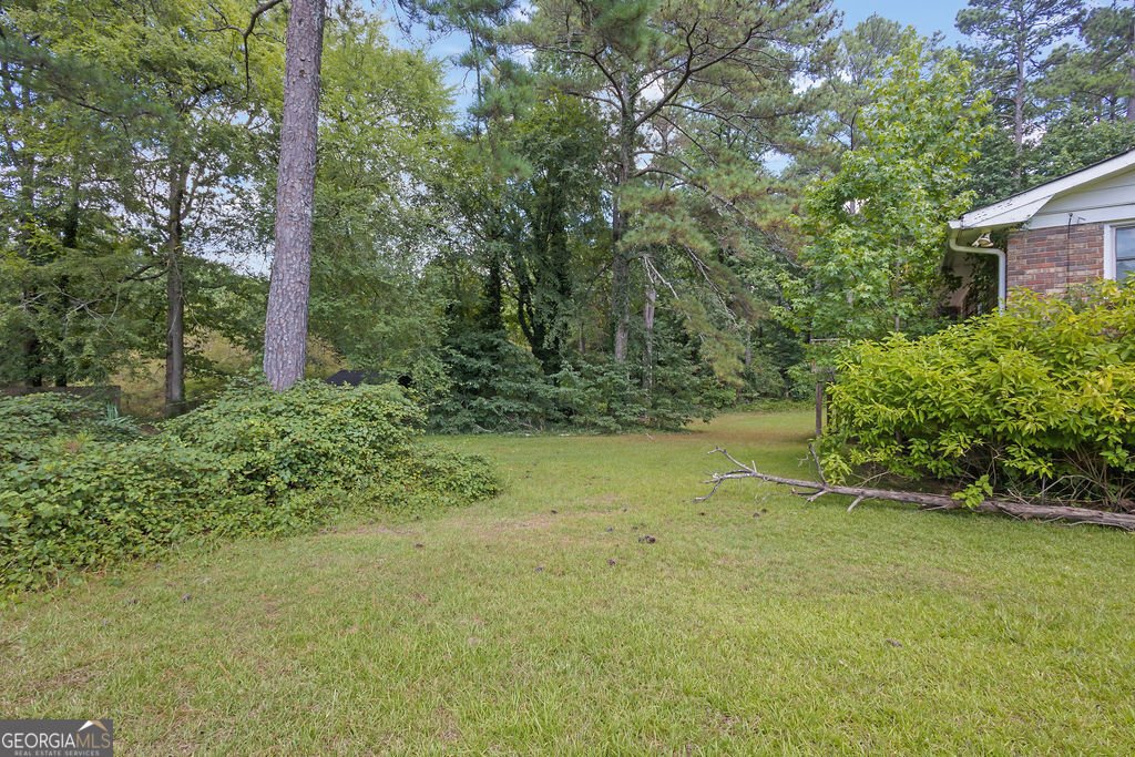 1344 Hill Drive Conyers - 8