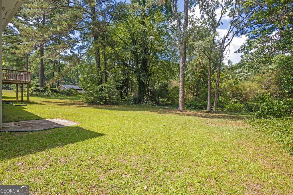 1344 Hill Drive Conyers - 9