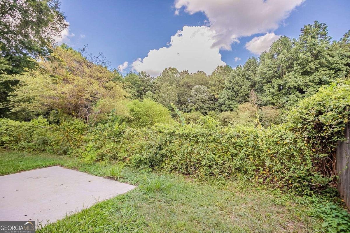6668 Pole Creek Drive Lithonia - 31