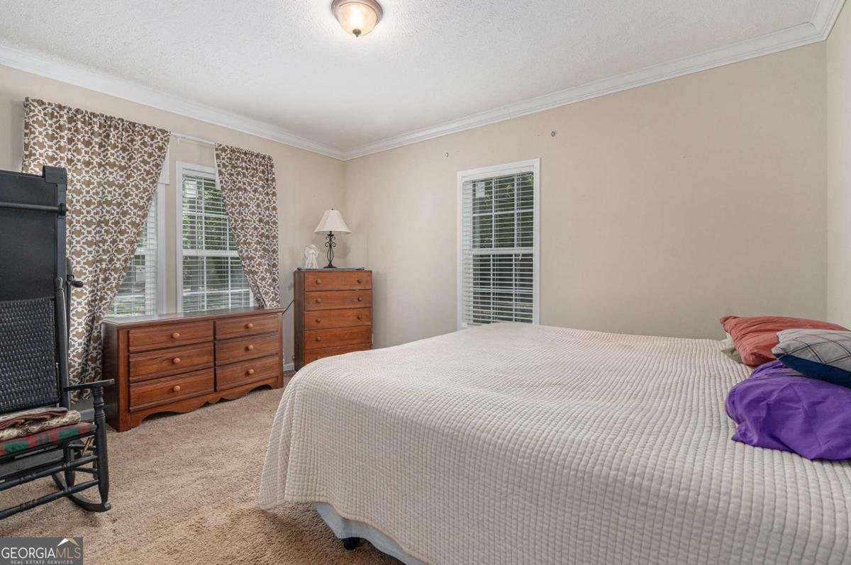 255 Wilson Road Luthersville - 19