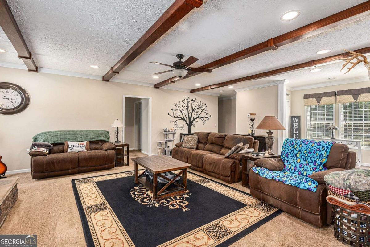 255 Wilson Road Luthersville - 4