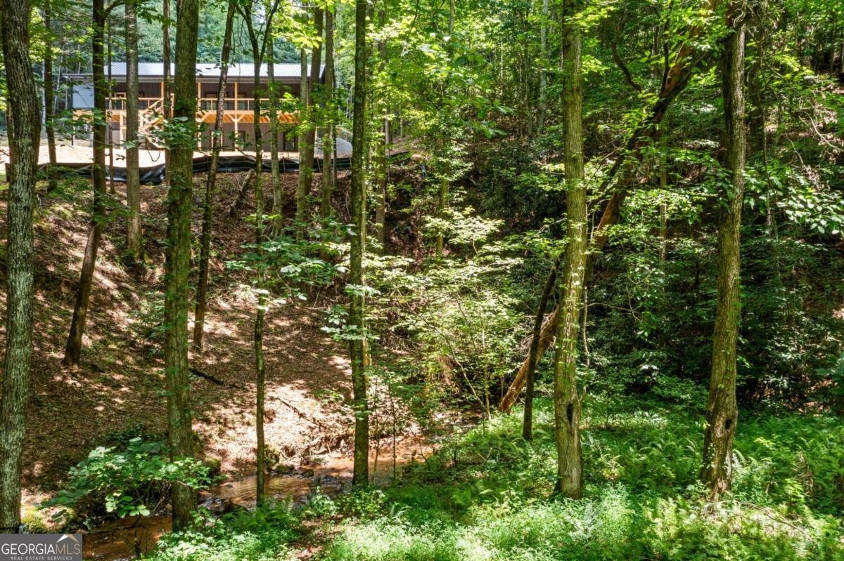 641 Bryant Farm Lane Ellijay - 4
