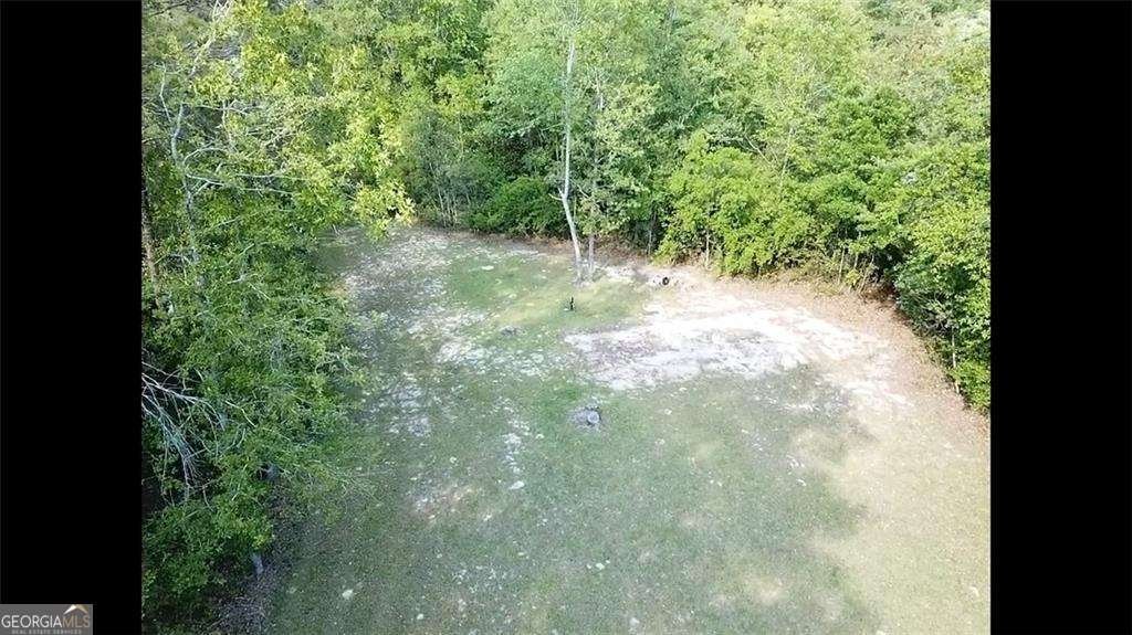 7461 Blue Lake Circle Blackshear - 33