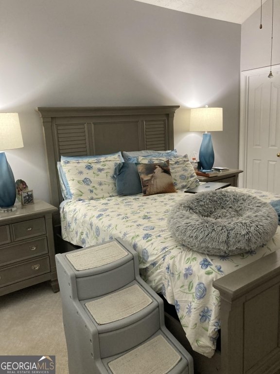 941 Pike Forest Drive Lawrenceville - 17