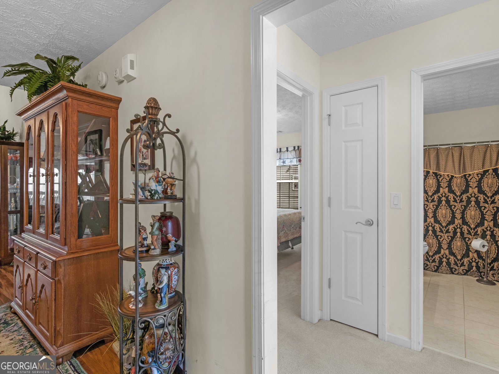 507 Mockingbird Lane Loganville - 3