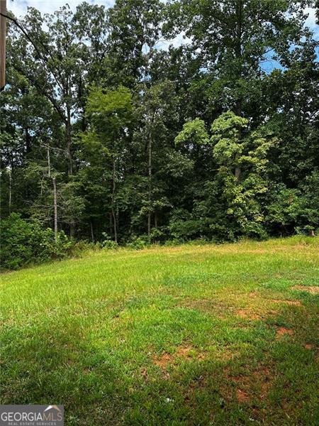 5667 DEERBERRY Gillsville - 39