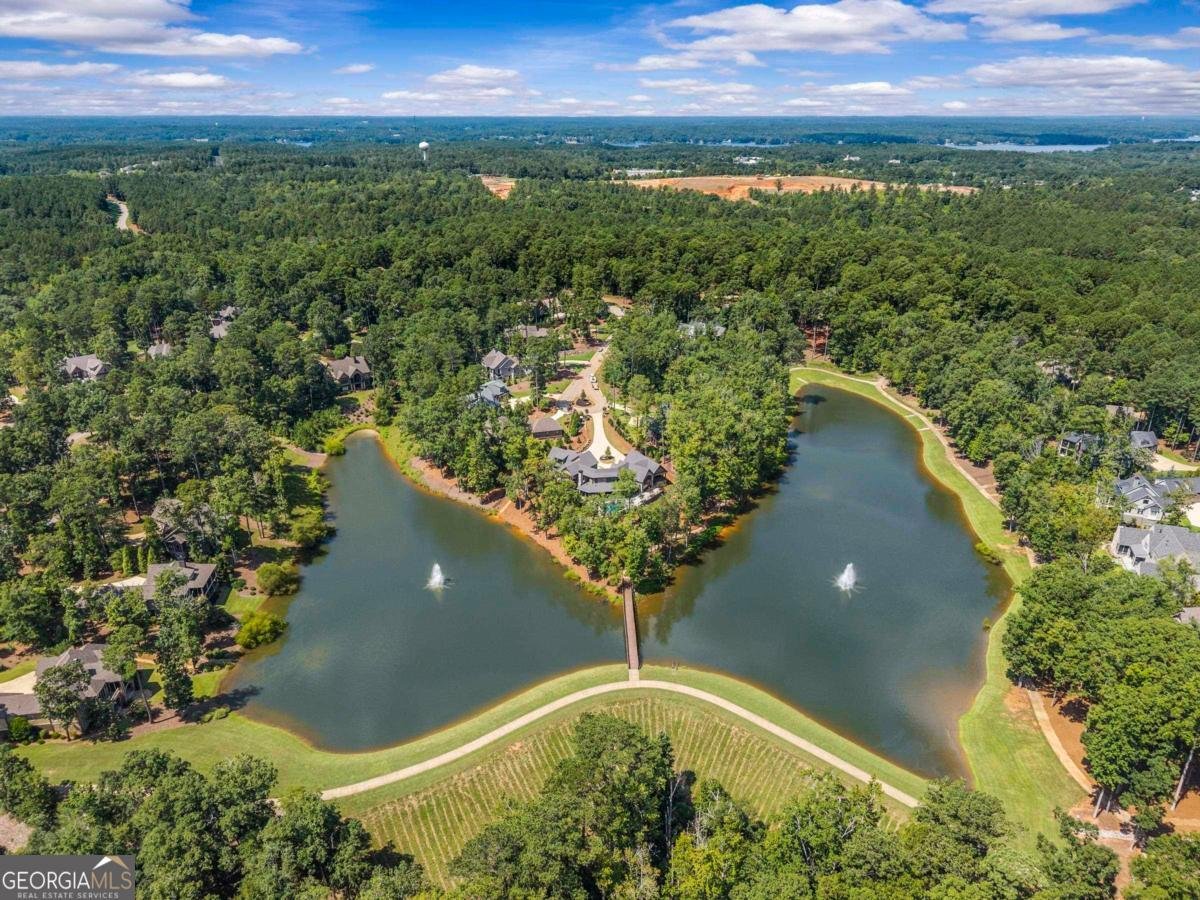 1081 Angel Pond West Greensboro - 44