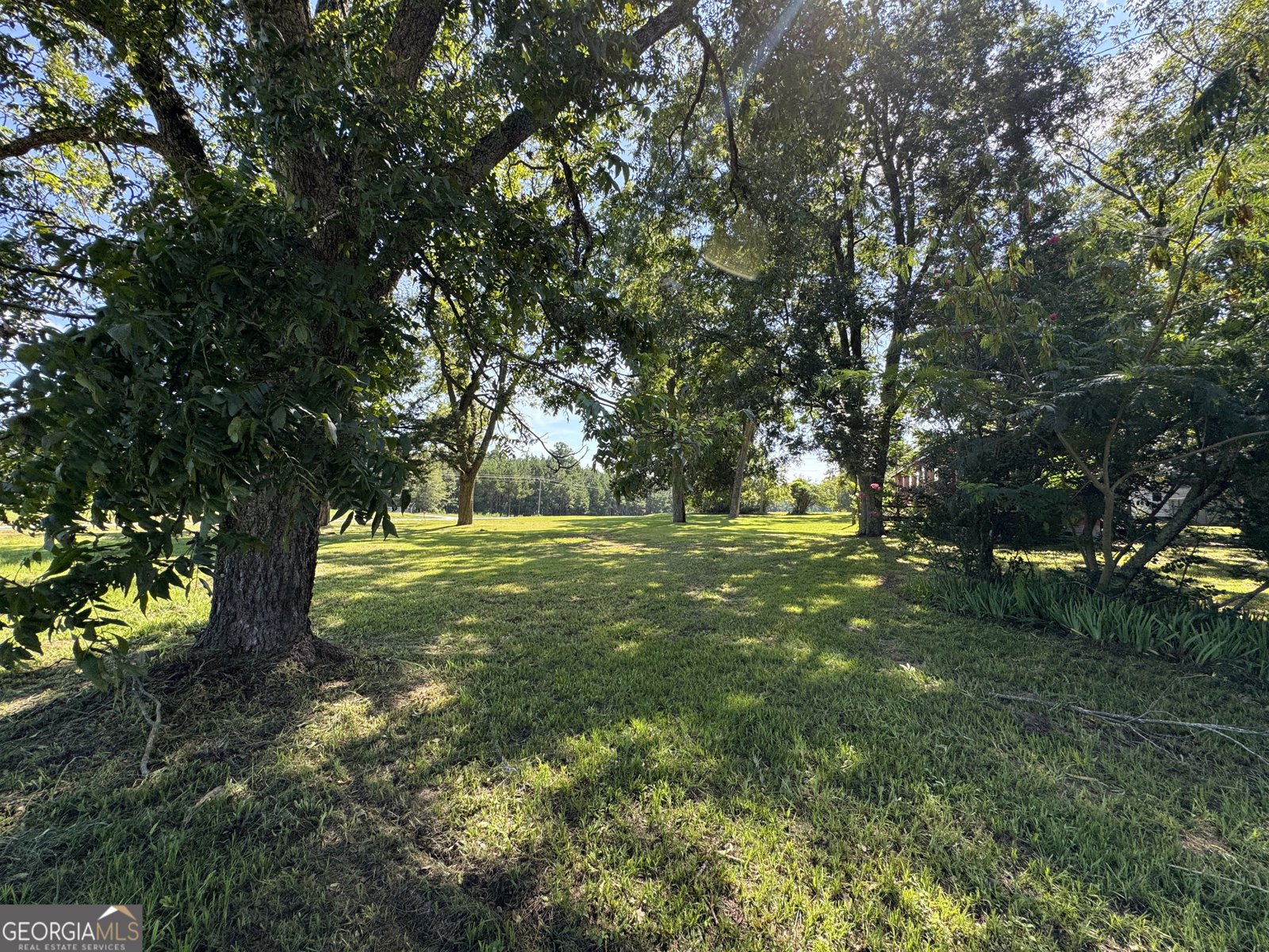 4273 Millen Highway Sylvania - 2