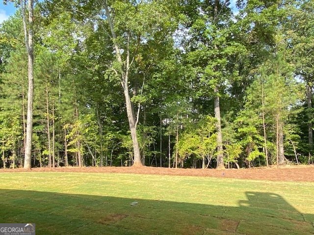 LOT 177 SNUG HARBOR PLACE Newnan - 34