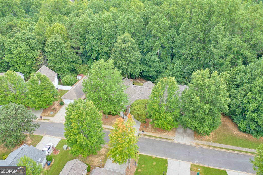 5185 Centennial Creek View Acworth - 18