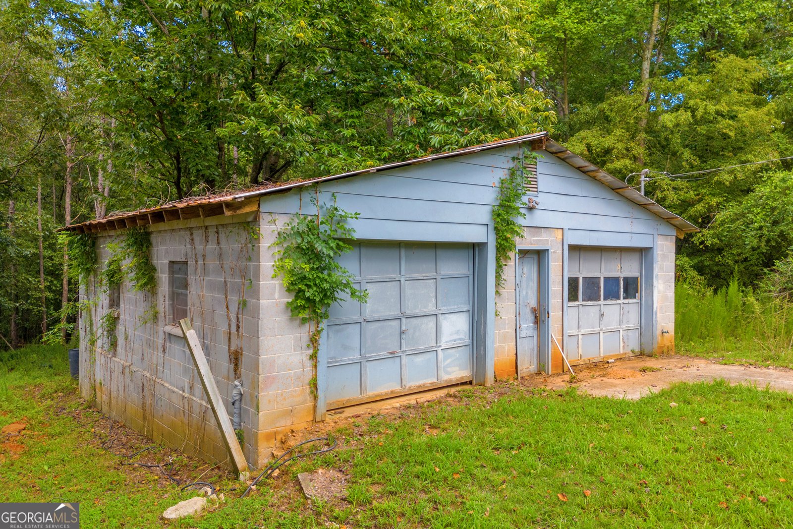 1164 Scales Creek Road Homer - 17