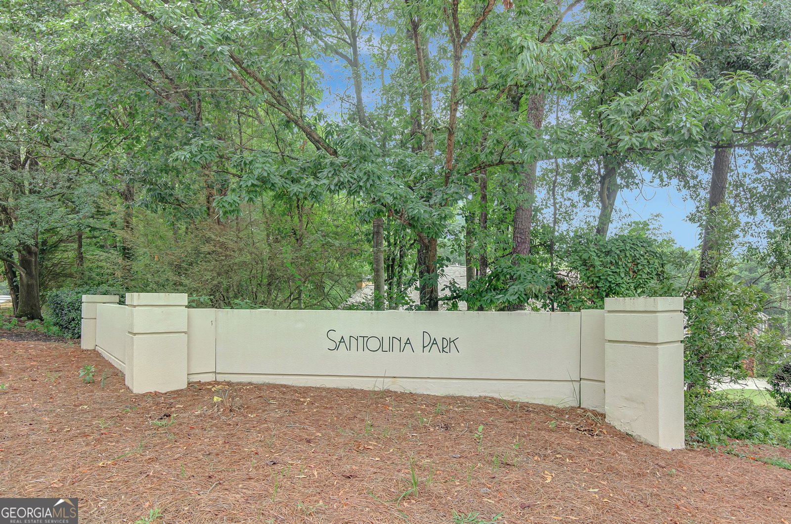 206 Verbena Point Peachtree City - 21