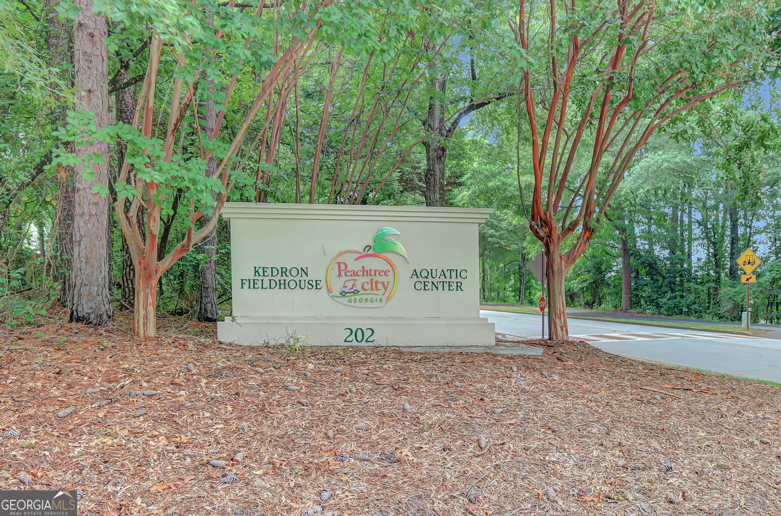 206 Verbena Point Peachtree City - 24
