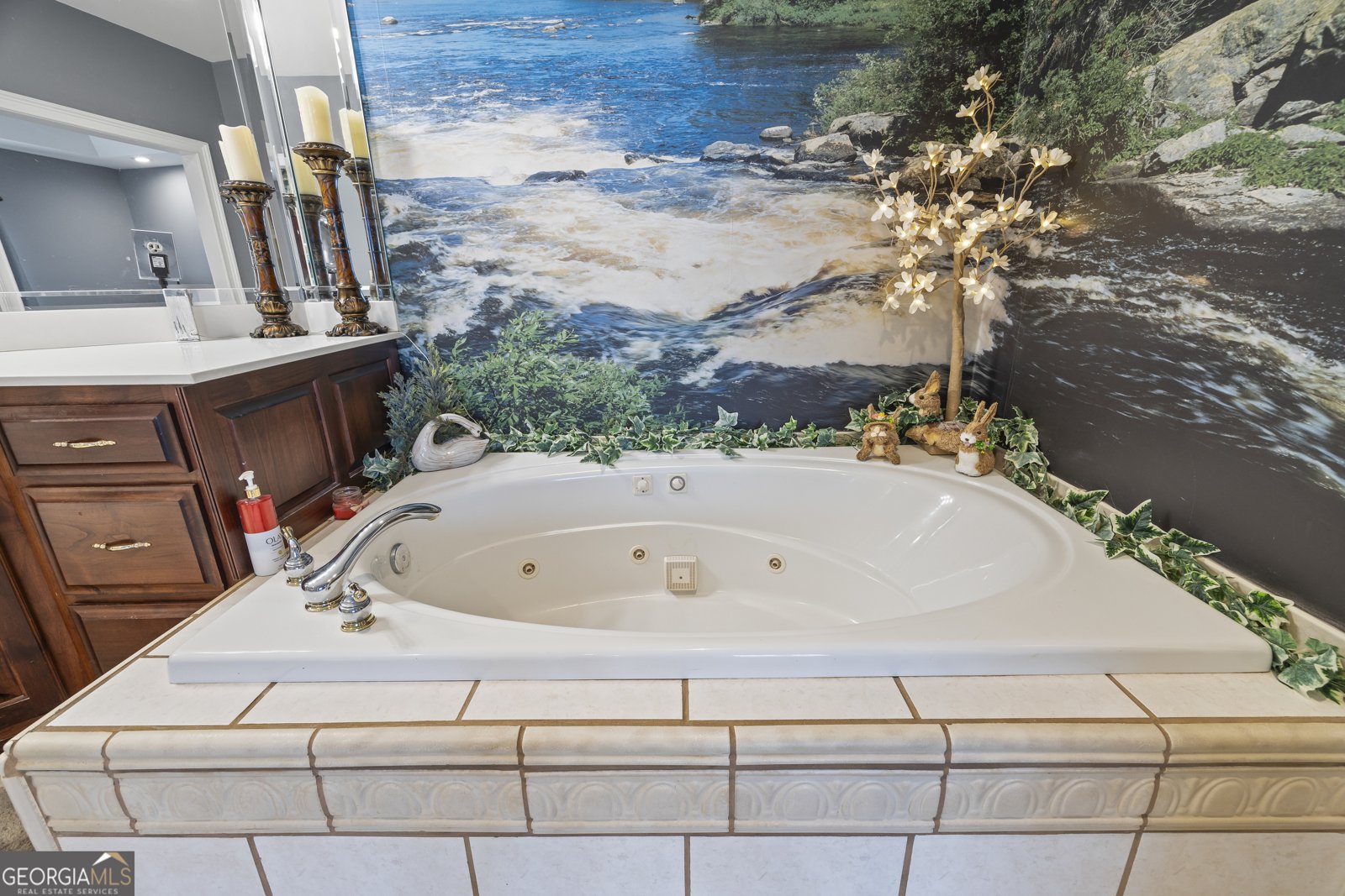 1121 Beacon Light Road Hartwell - 28