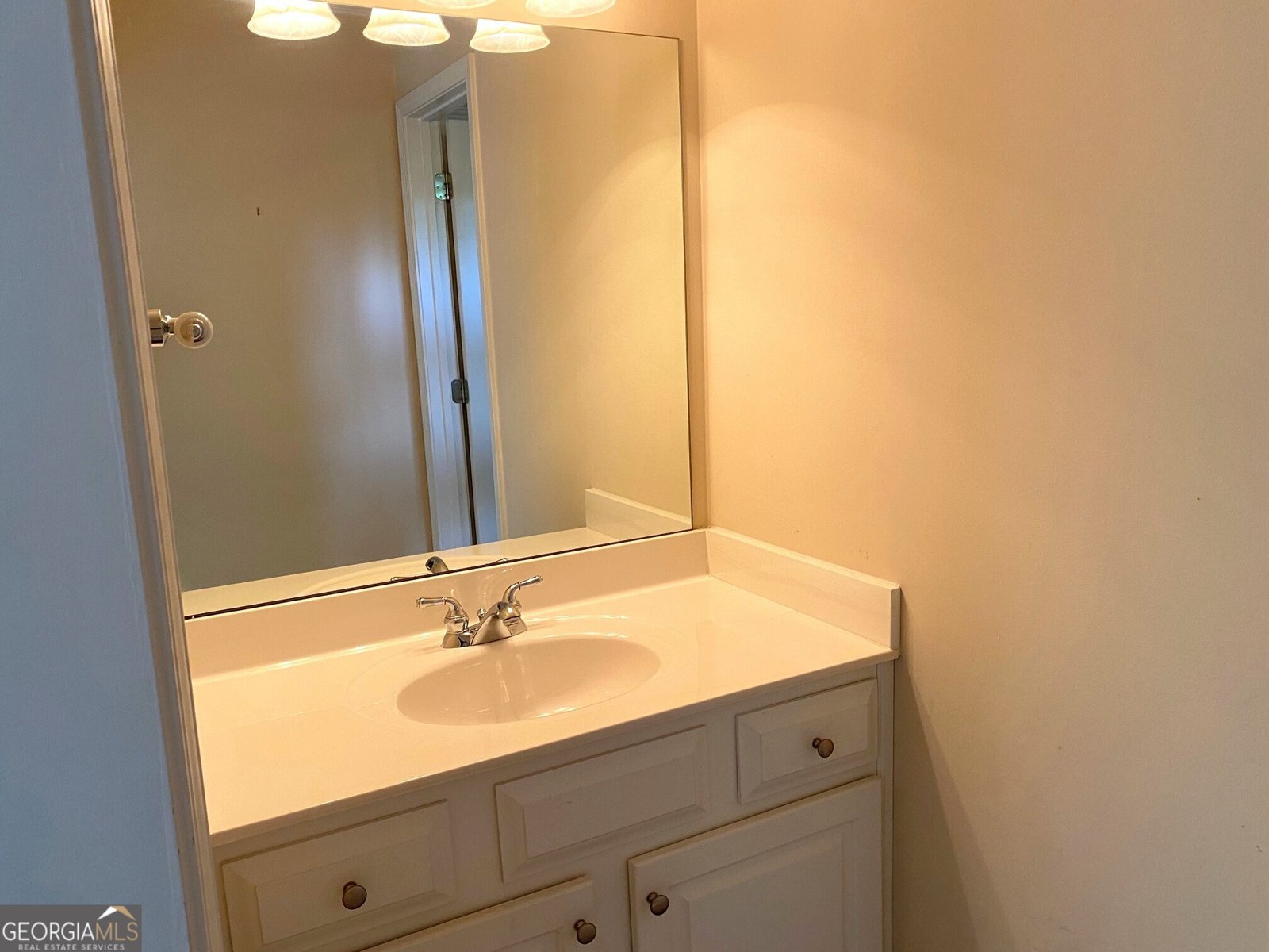 4517 Meadow Vista Trace Lithonia - 43
