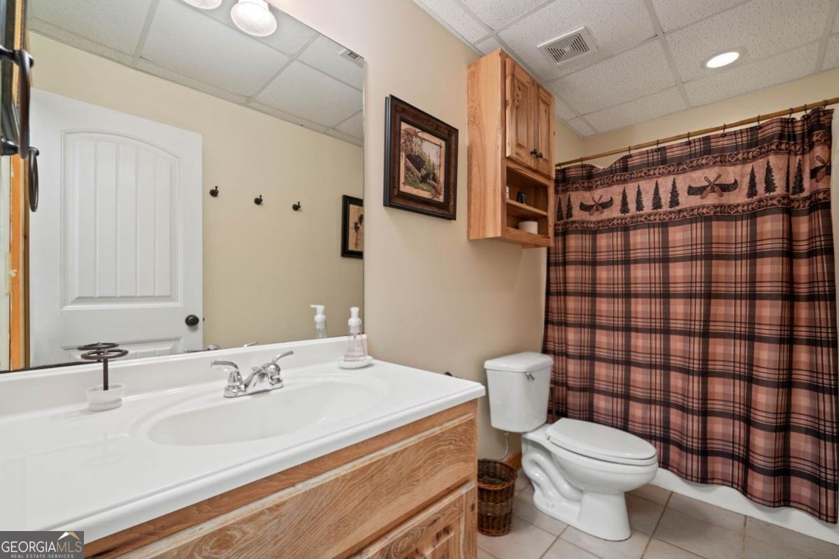 329 Vista Chalet Drive Ellijay - 38