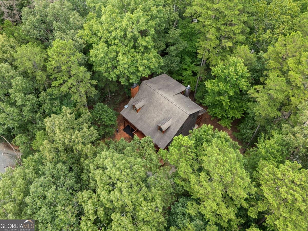 329 Vista Chalet Drive Ellijay - 40