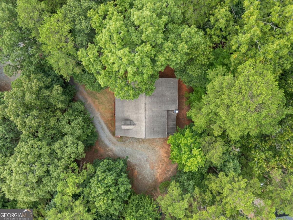 329 Vista Chalet Drive Ellijay - 41