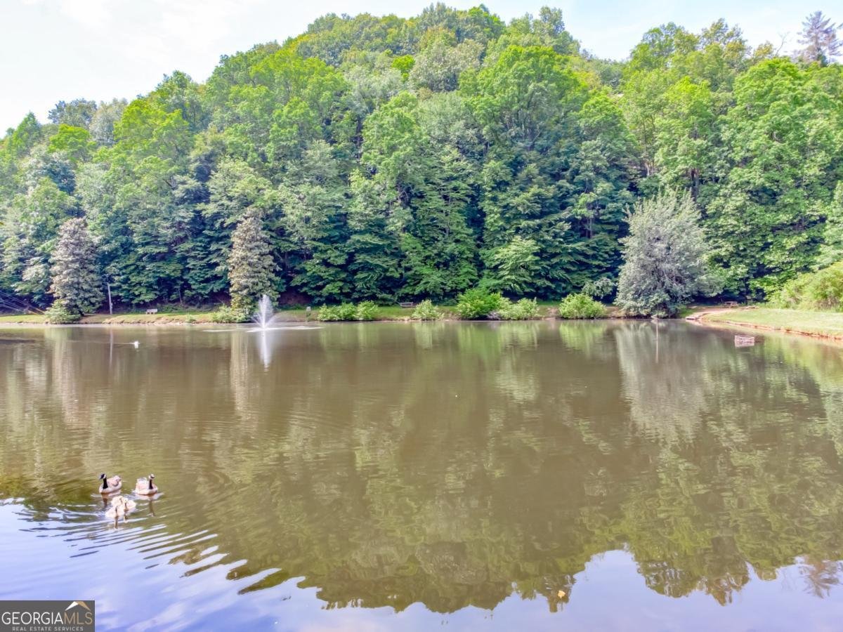 329 Vista Chalet Drive Ellijay - 56
