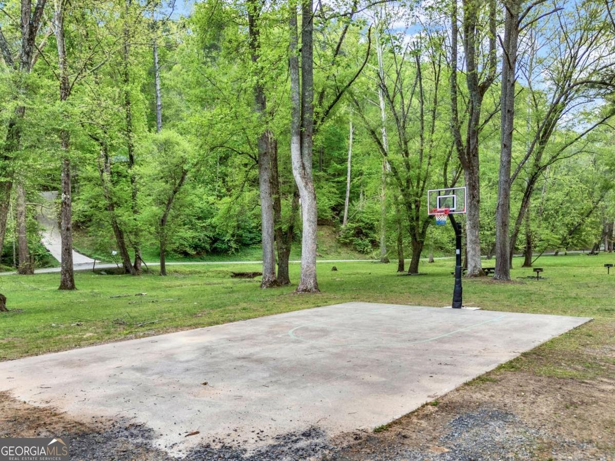 329 Vista Chalet Drive Ellijay - 62