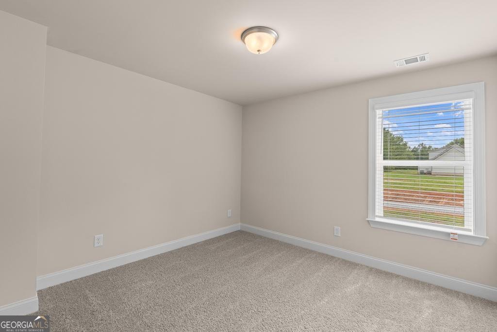 88 Maddox Drive McDonough - 20