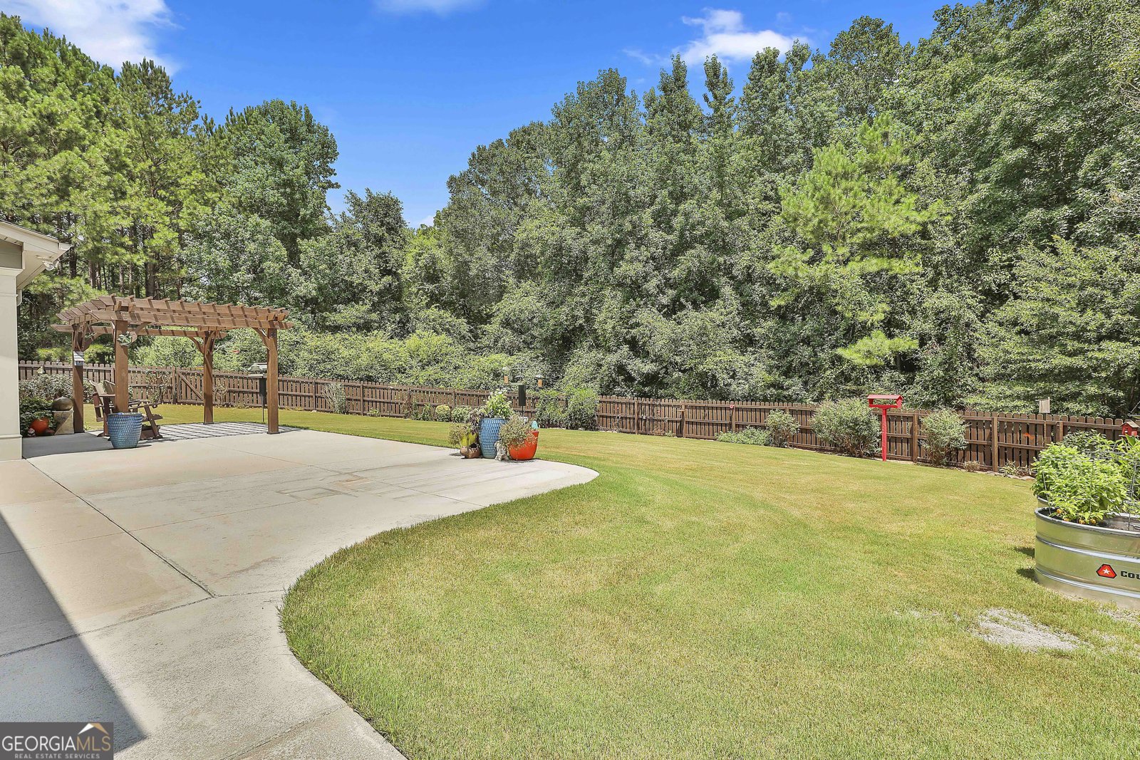 223 Wills Run Drive Senoia - 36