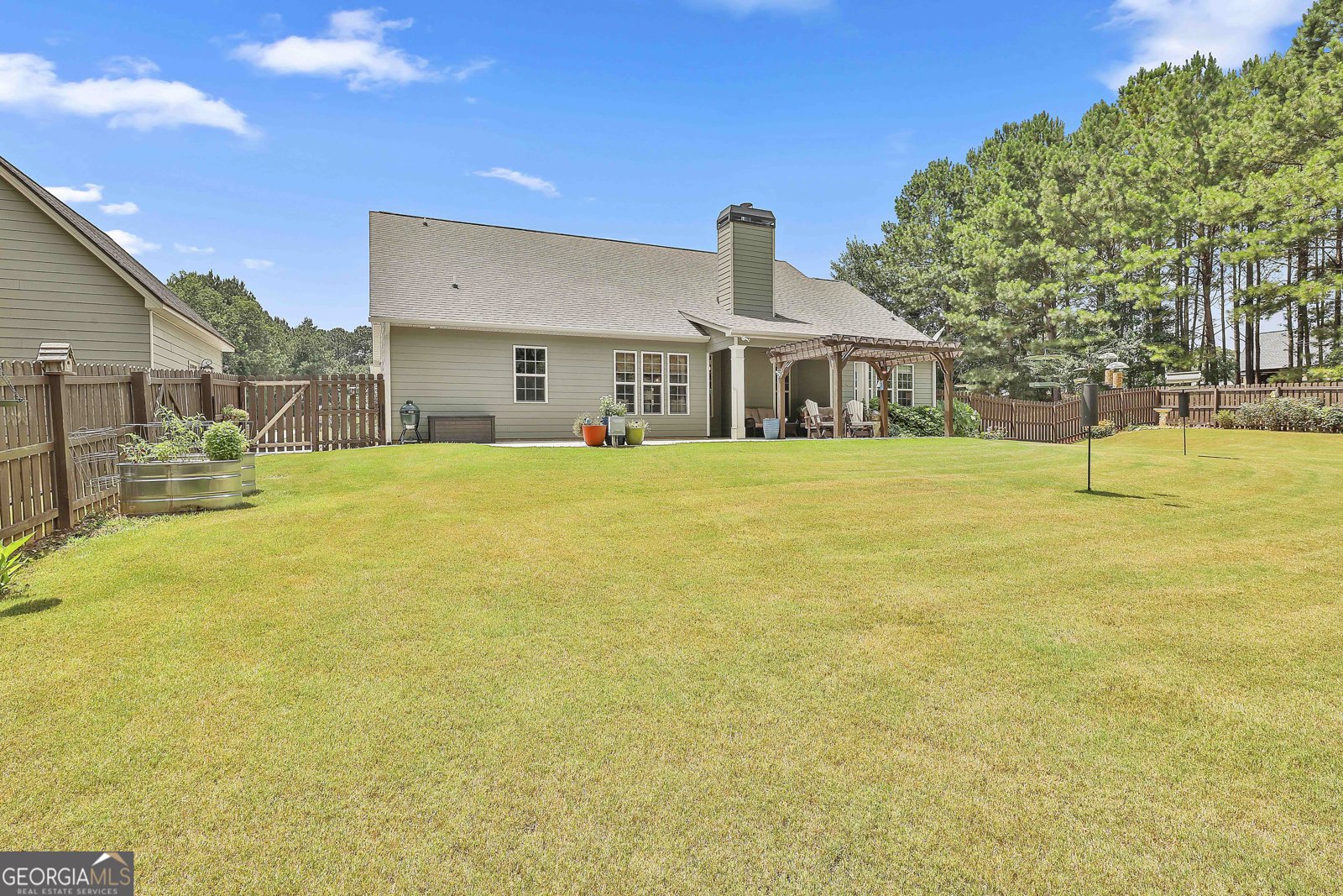 223 Wills Run Drive Senoia - 37