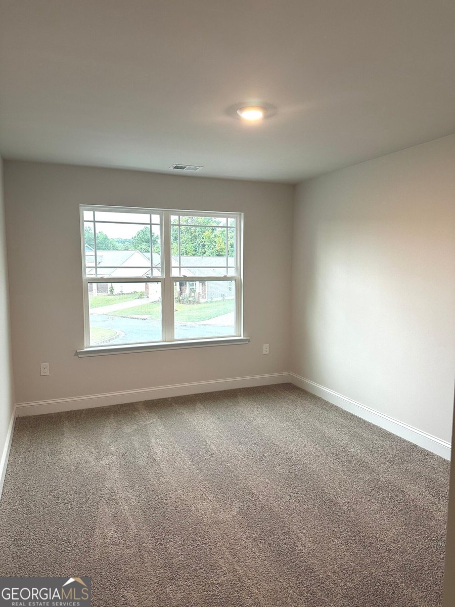 203 Vineyard Walk Carrollton - 10