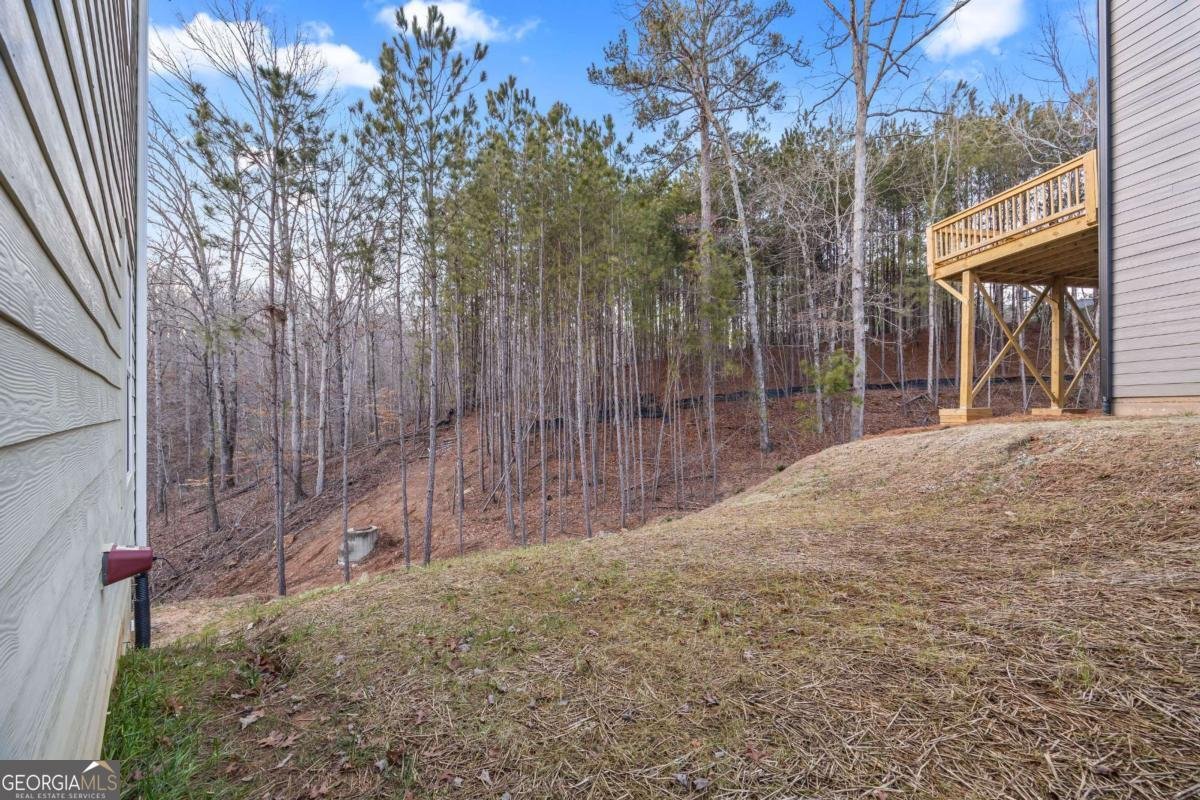 3185 Tackett Road Douglasville - 9