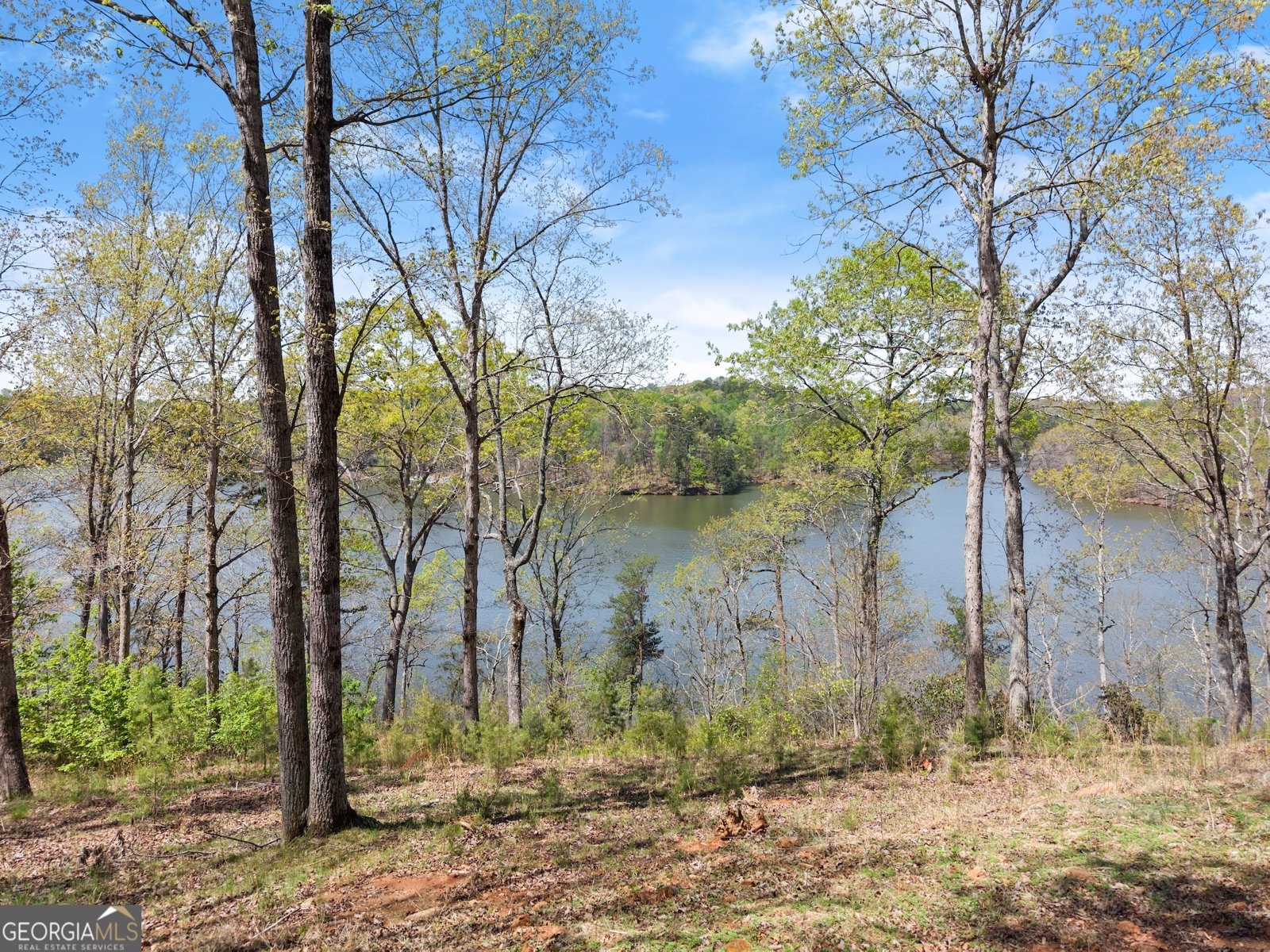 3365 Hall Drive Gainesville - 24