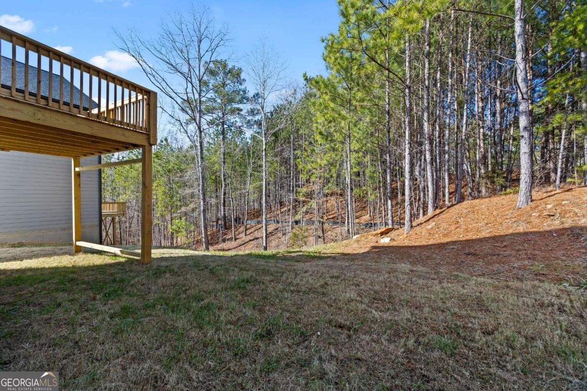 3205 Tackett Road Douglasville - 55