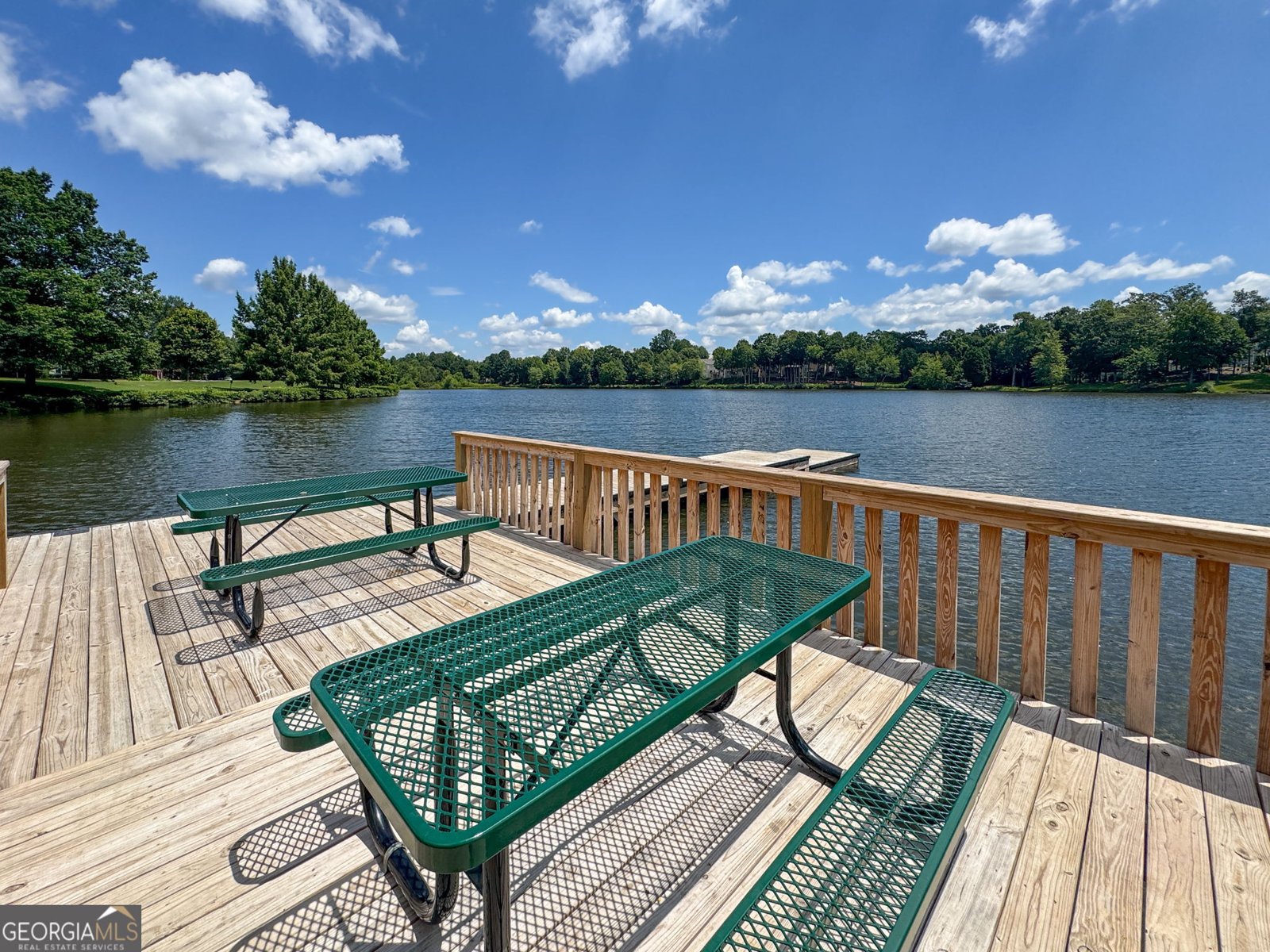 161 Lake Shore Drive Newnan - 59