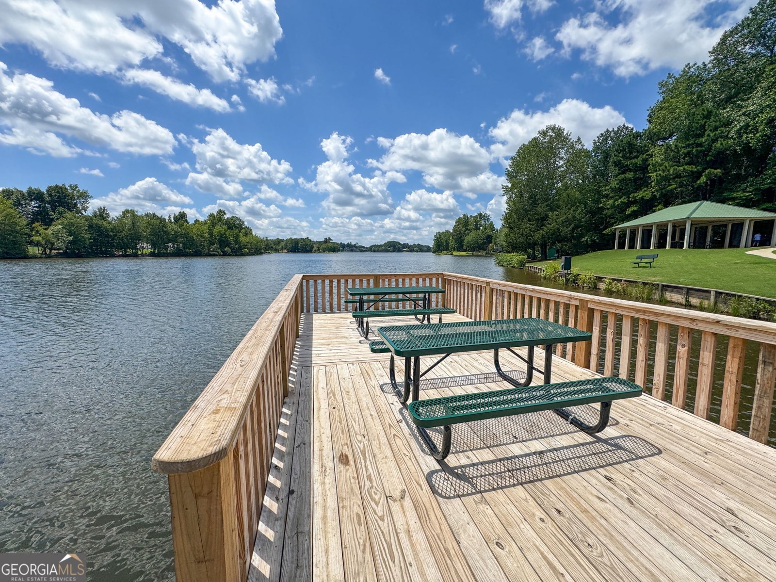 161 Lake Shore Drive Newnan - 60