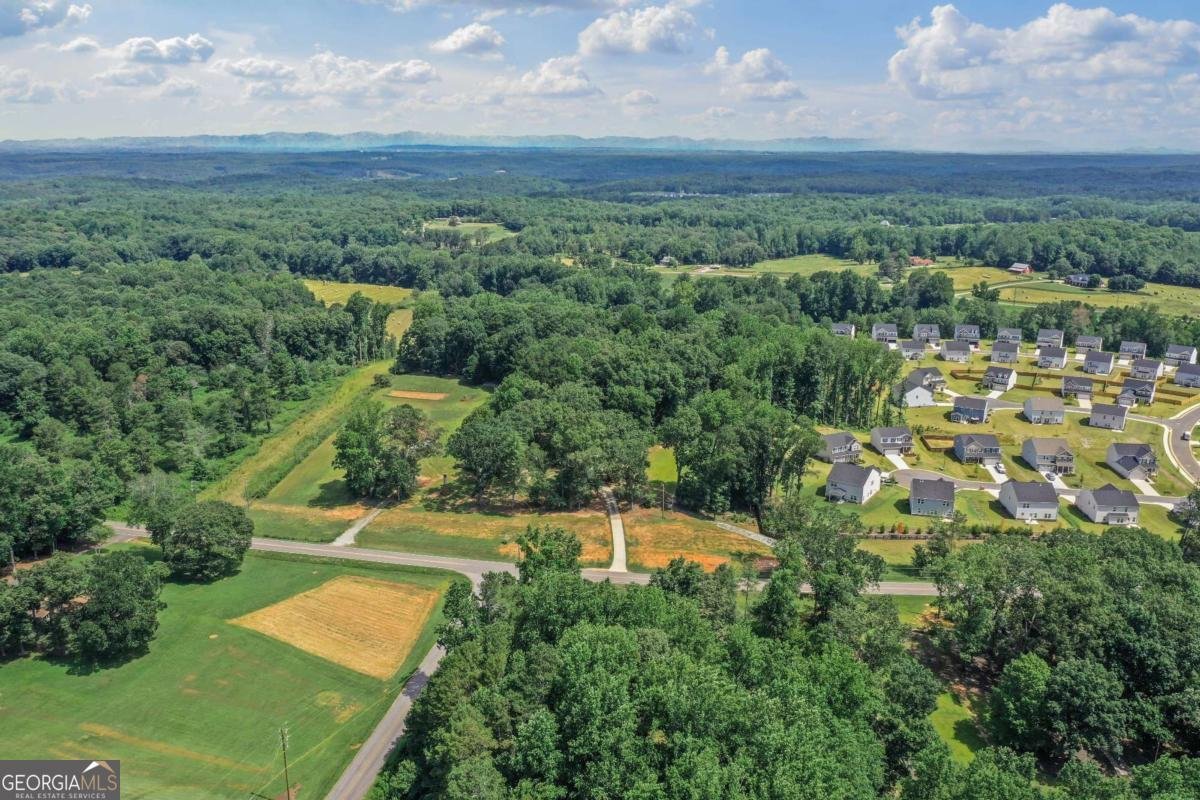 6670 Jewell Bennett Road Dawsonville - 54