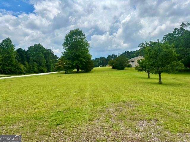 3943 Tommy Lee Cook Road Newnan - 29