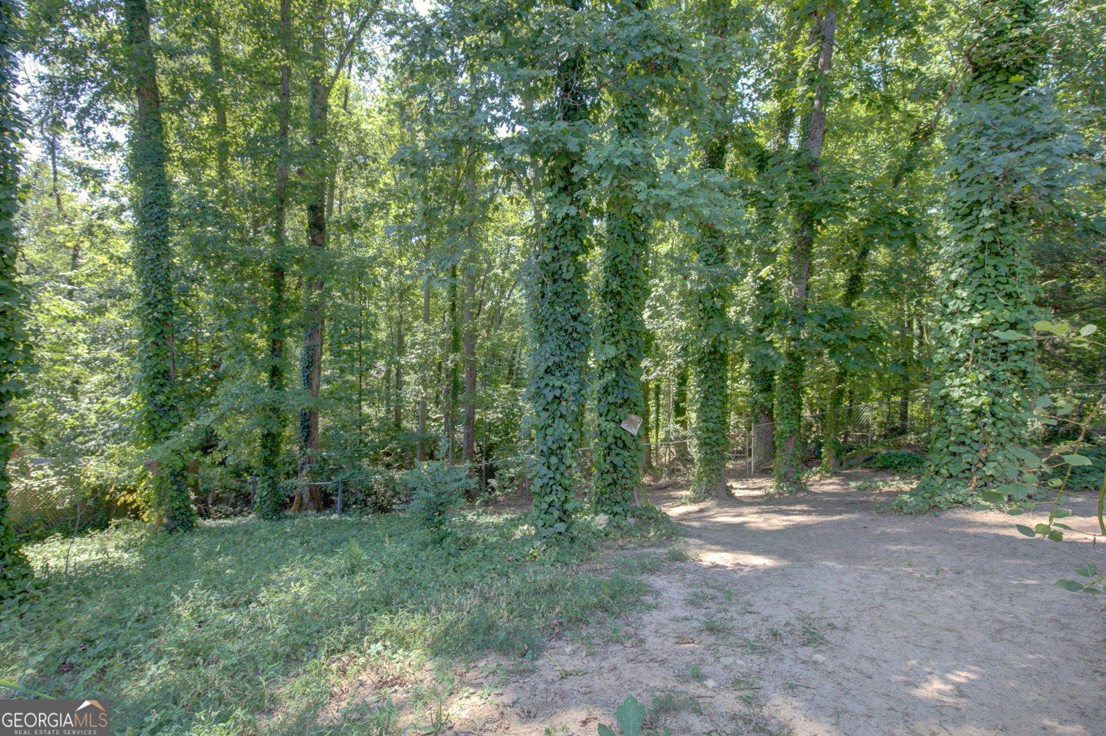 203 Loblolly Court Peachtree City - 80