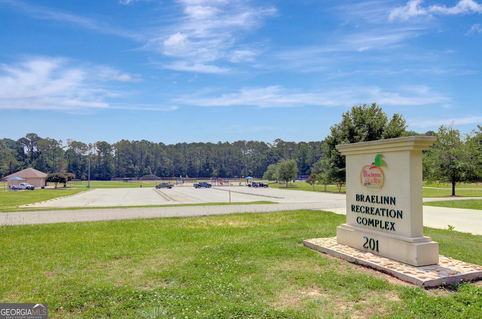 203 Loblolly Court Peachtree City - 86