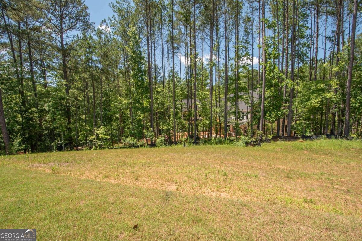 280 Wolf Creek Cove Lagrange - 46