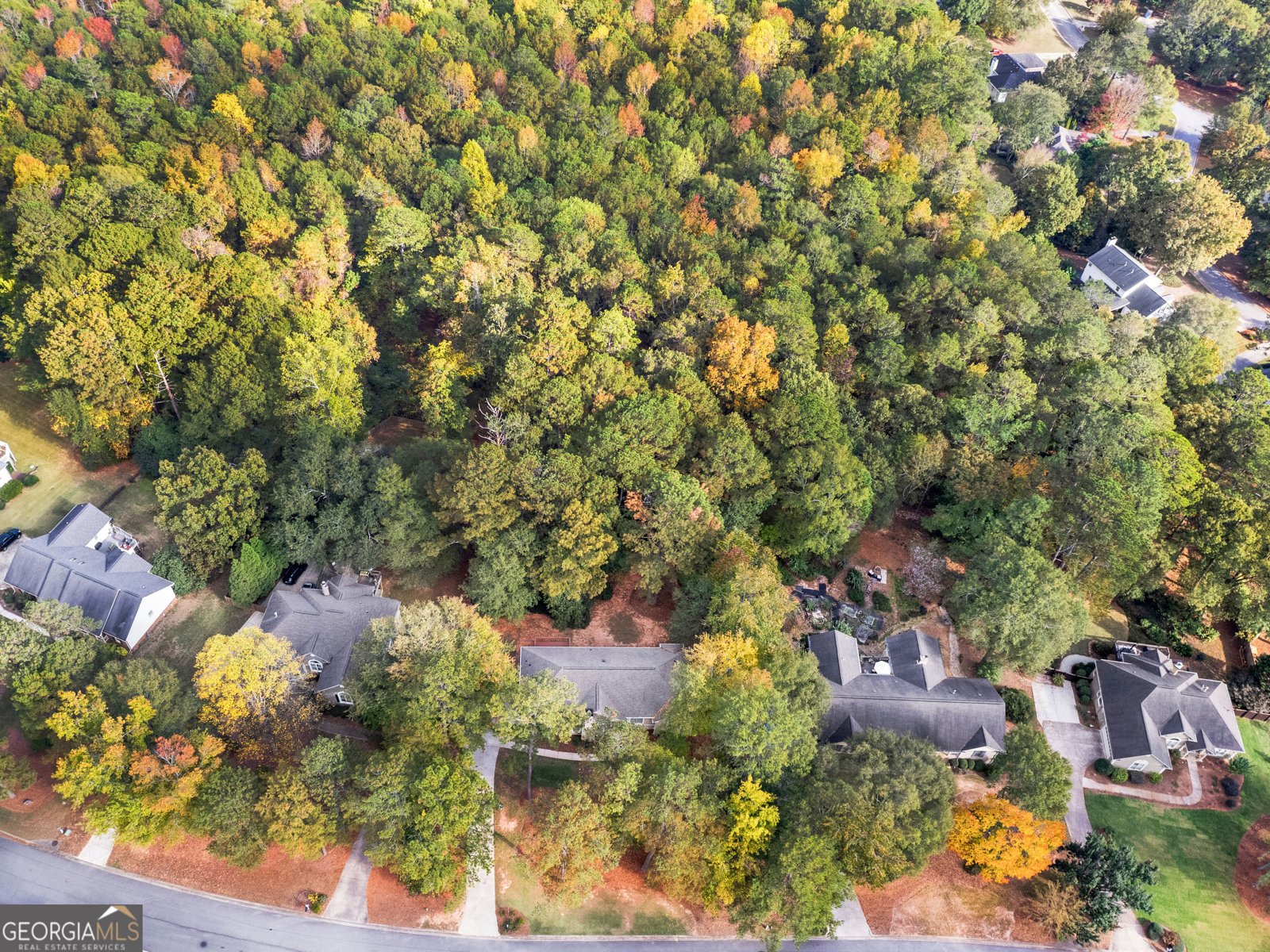 1300 Lakehaven Parkway McDonough - 42