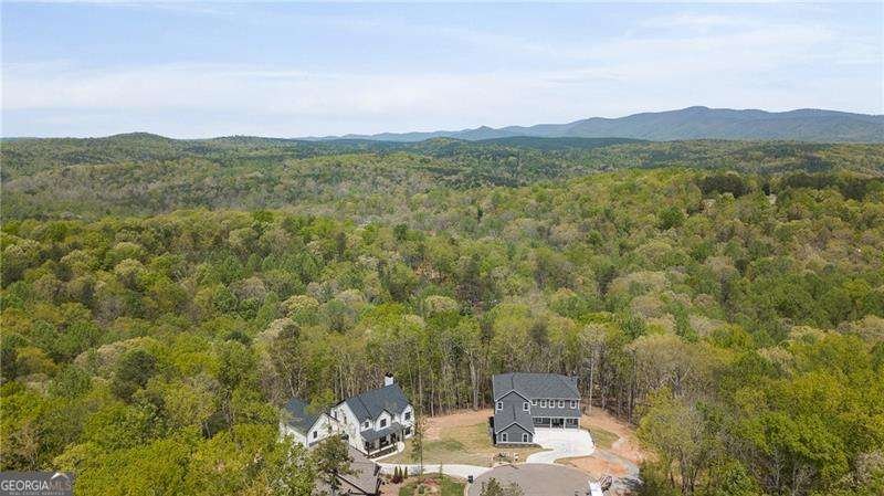 394 SETTLERS RIDGE Drive Ball Ground - 51