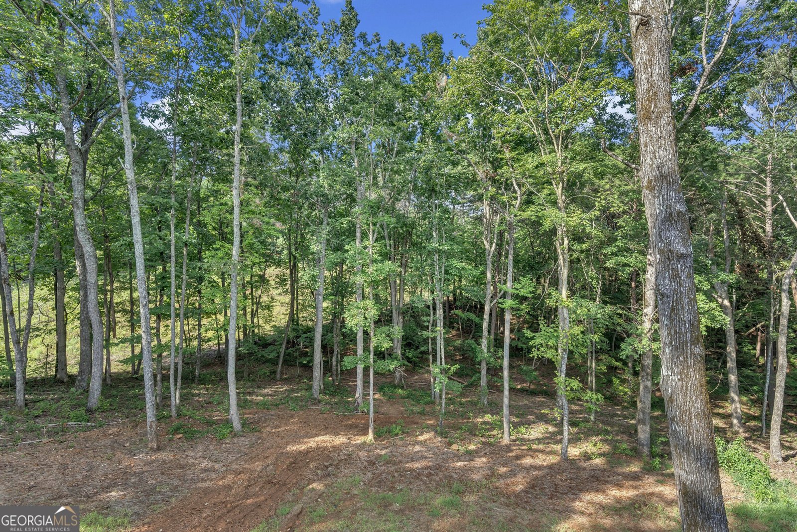 70 Country Hills Trail Ellijay - 32