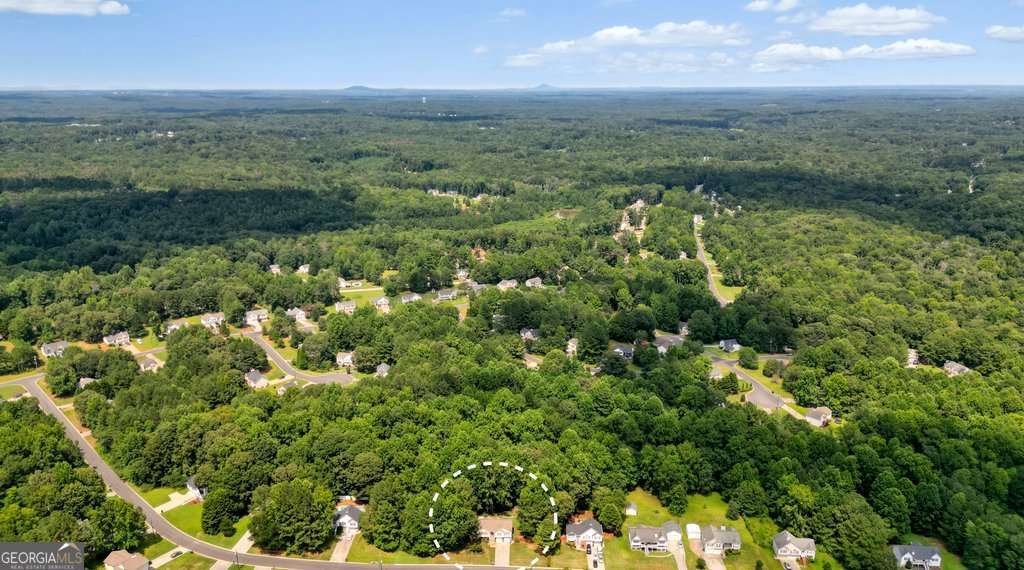 227 BRIDGE Landing Douglasville - 59