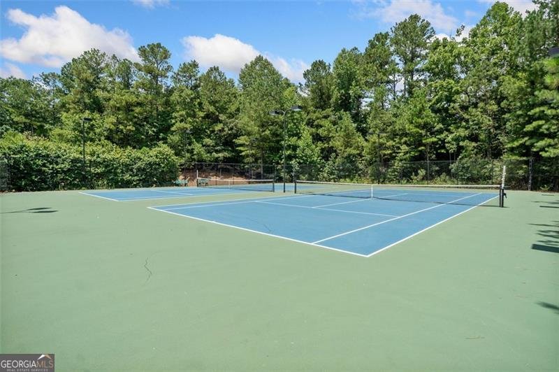 173 TERRACE VIEW Drive Acworth - 61