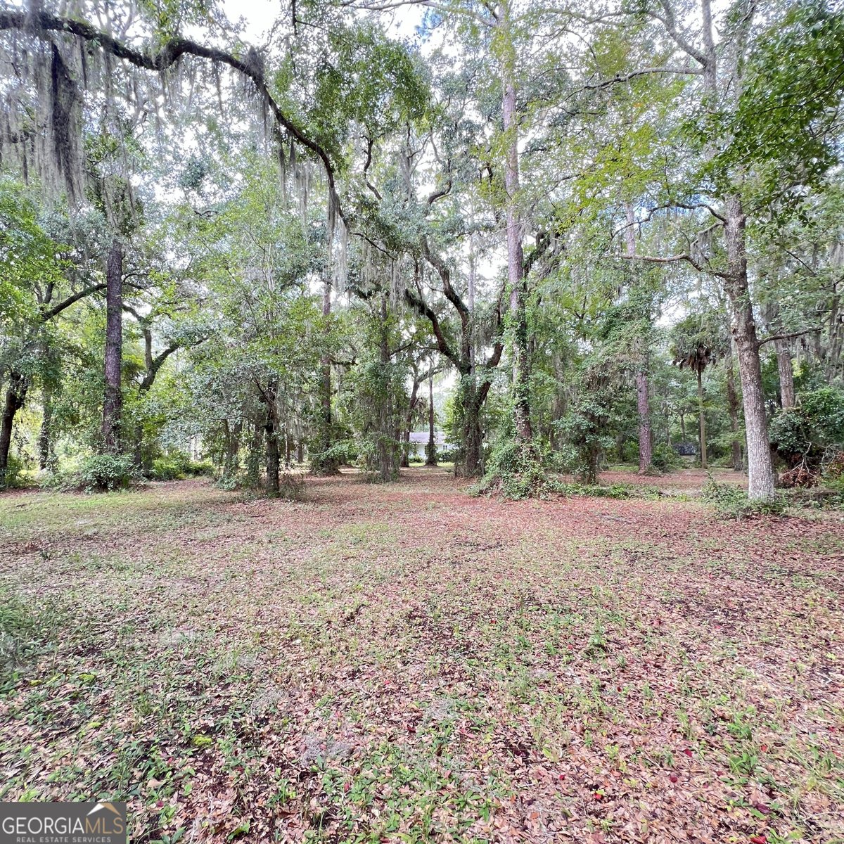 7211 Blythe Island Highway Brunswick - 31