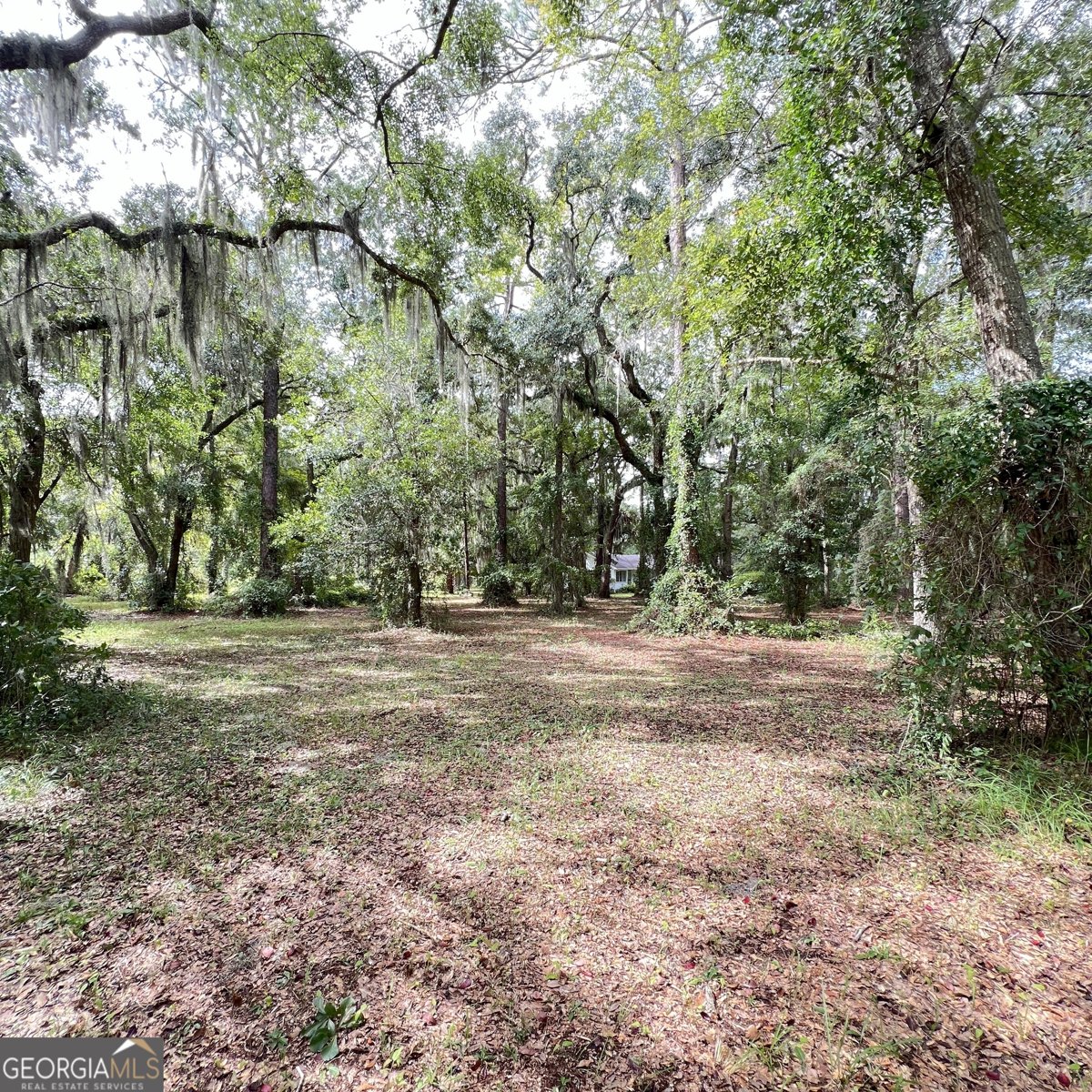 7211 Blythe Island Highway Brunswick - 32