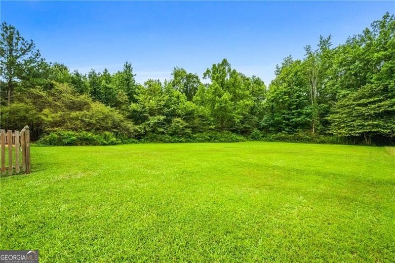 3041 Hallman Circle Marietta - 19