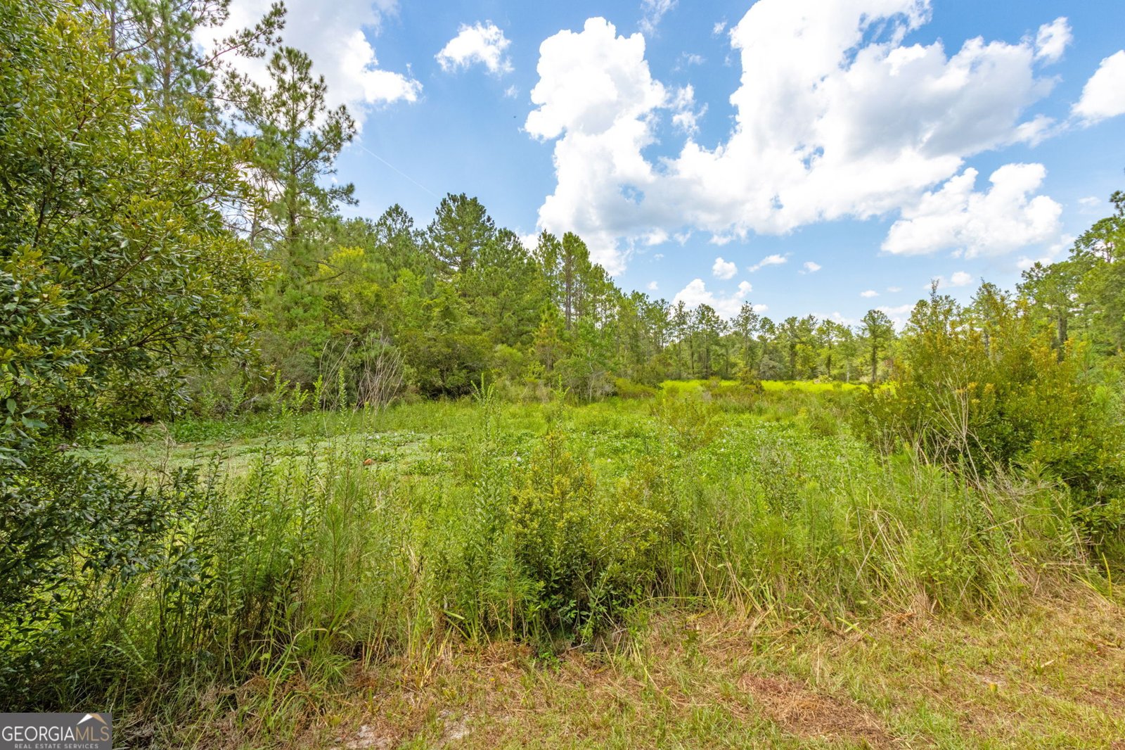 176 Huntington Drive Kingsland - 41