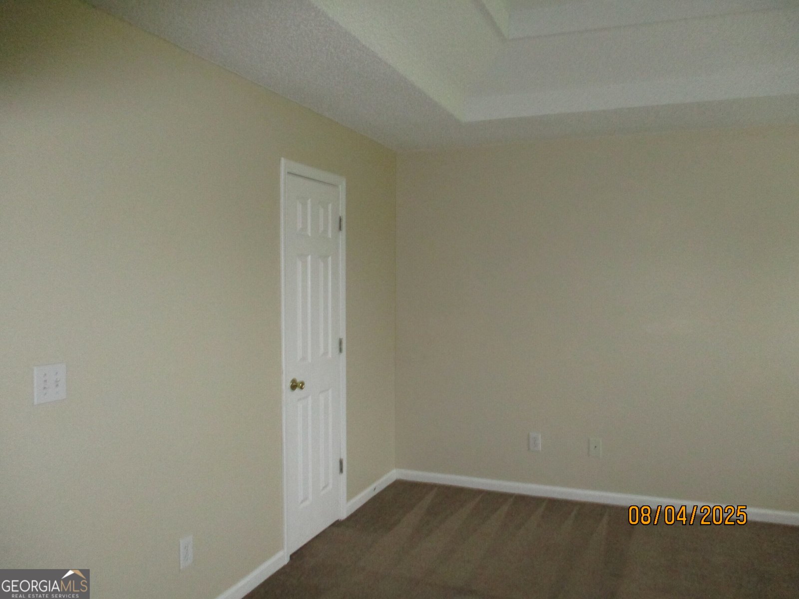 1653 Zacharys Way McDonough - 20