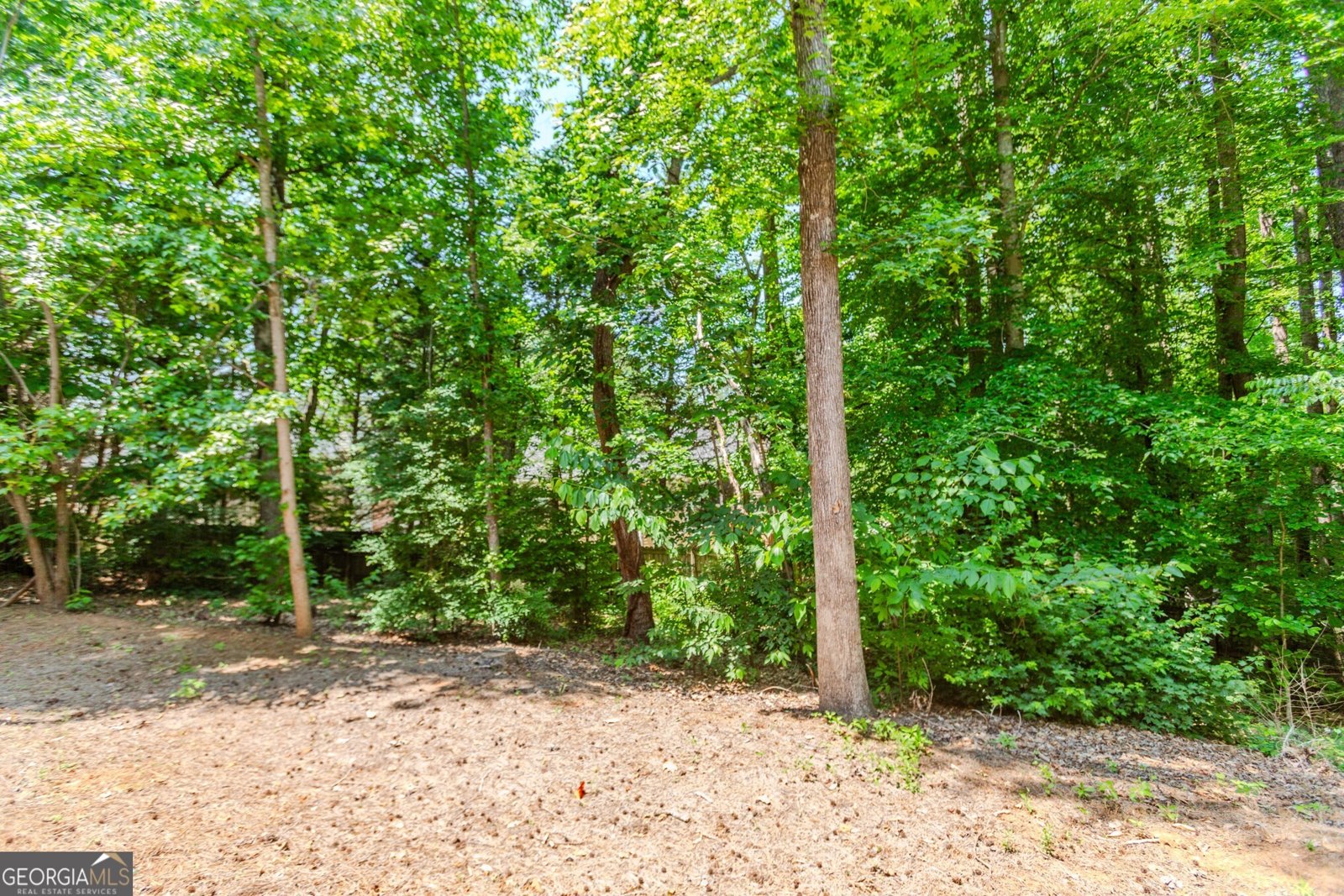 2205 Parliament Drive Lawrenceville - 69
