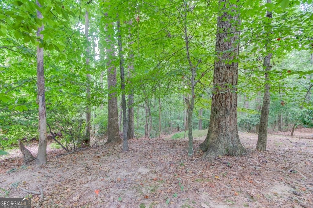 2405 Millwater Crossing Dacula - 12